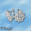 Silver Earings stones 133978.1