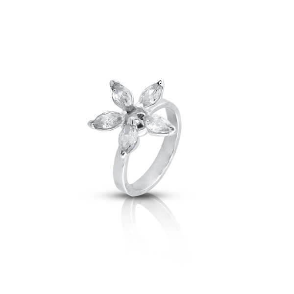 Silver ring stones 1626366