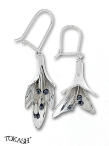 Silver Earings stones 136635