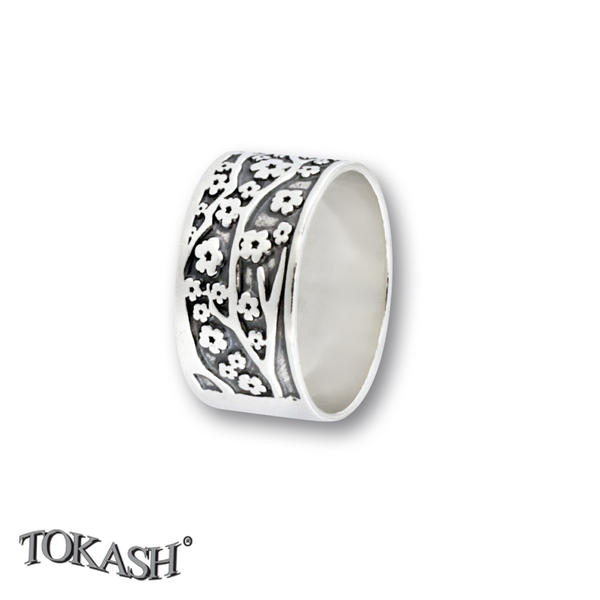 Silver ring stones 1666183
