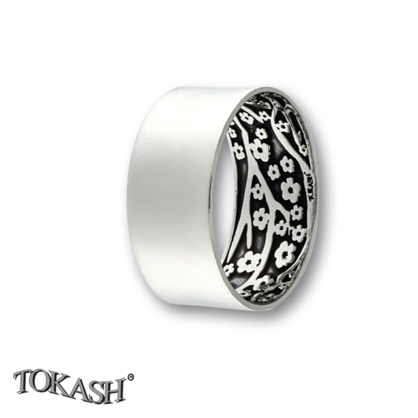 Silver ring stones 1666184