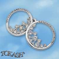 Silver Earings with stones 140291
