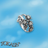 Silver ring stones 1626057