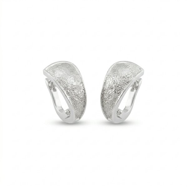 silver earrings 133646