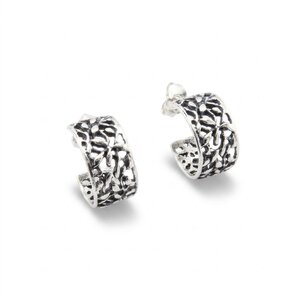 Silver Earings stone 131030