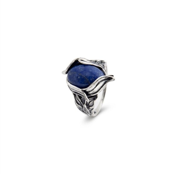 silver ring 8905223
