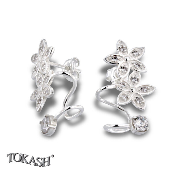 Silver Earings with stones 139277
