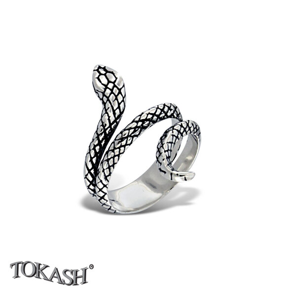 Silver ring 1536214