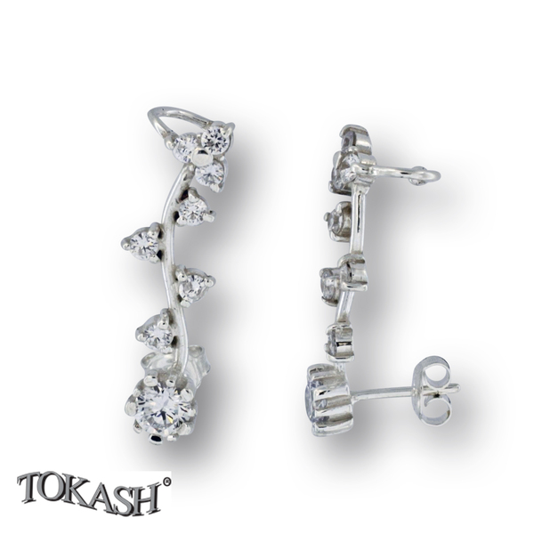 Silver Earings stones 137246