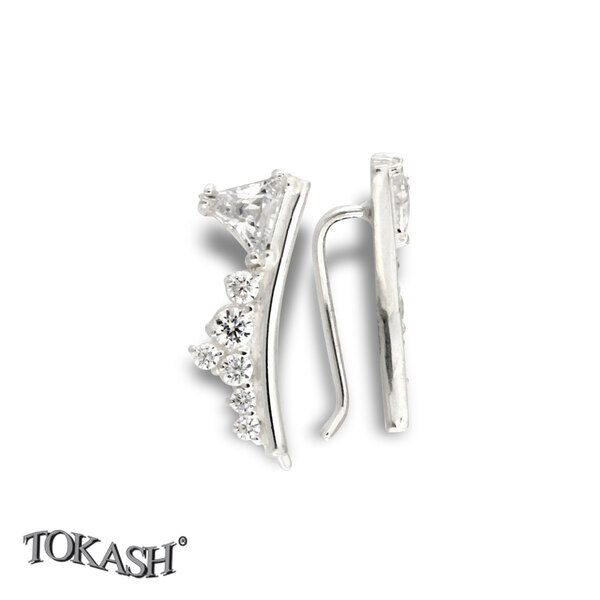 Silver Earings with stones 139276