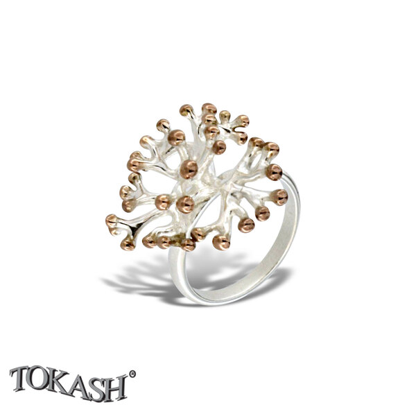 Silver ring 1546278