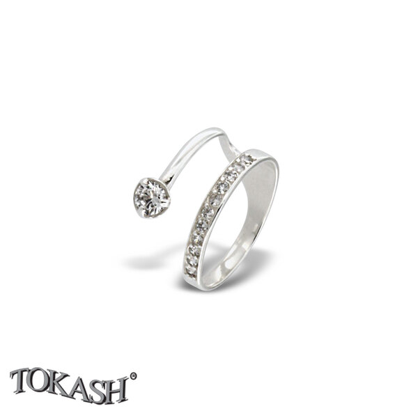 Silver ring stones 1696314