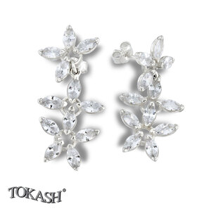 Silver Earings with stones 140066