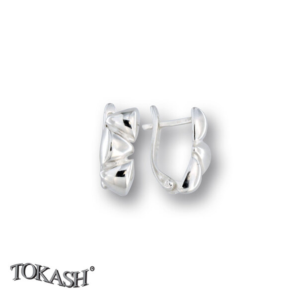 Silver Earings stones 133208