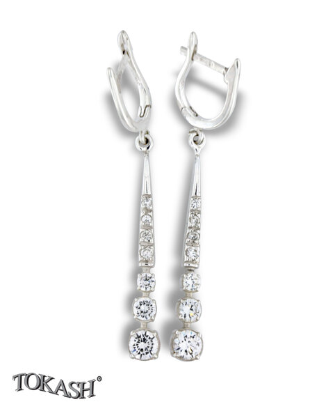 Silver Earings with stones 139271