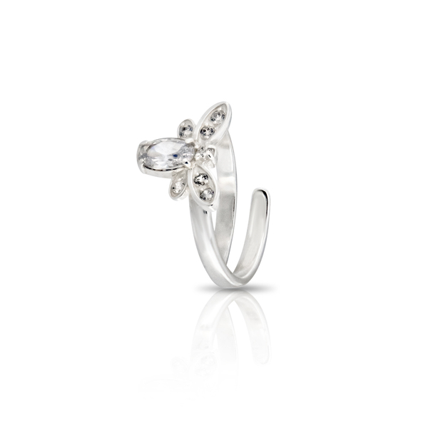 Silver ring stones 1696297