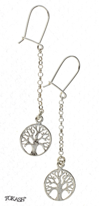 Silver Earings stones 111637