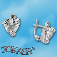 Silver Earings with stone 121910