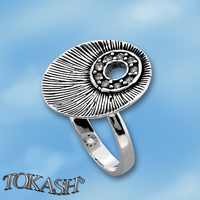Silver ring stones 1625493