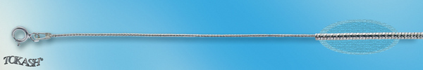 Chain 1007