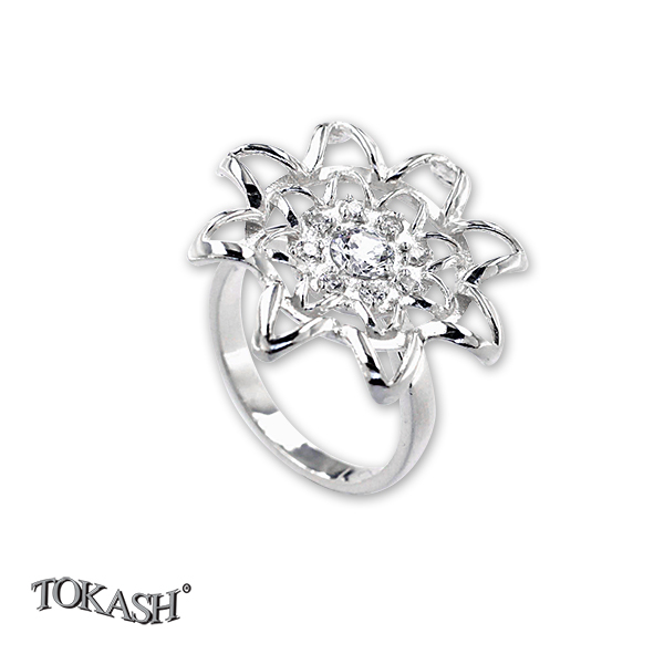 Silver ring stones 1616112