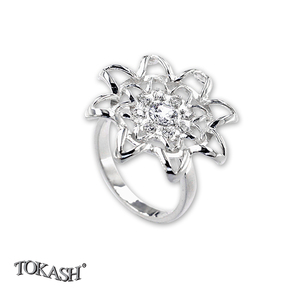 Silver ring stones 1616112