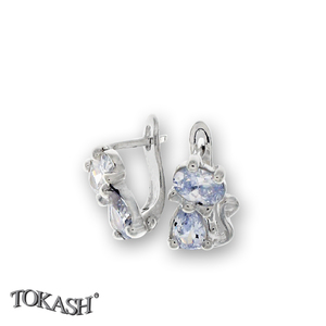 Silver Earings with stones 139662