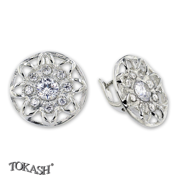 Silver Earings stones 137112