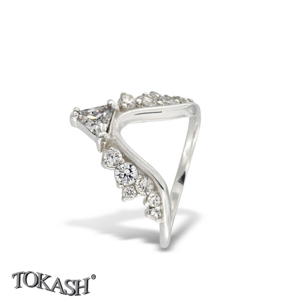 Silver ring stones 1696275