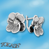 Silver earrings with CZ - Silver Earing with stone - 130911