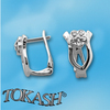 Silver earrings with CZ - Silver Earings stones - 138251