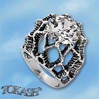 Silver ring stones 1585968