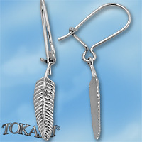 Silver Earings stones 111517