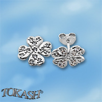 Silver Earings with stones 139515