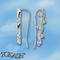 Silver Earings with stones 139530
