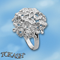 Silver ring 1545978.1