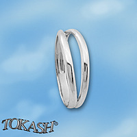 Silver ring stones 1575245
