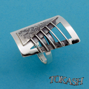 rings 8985145