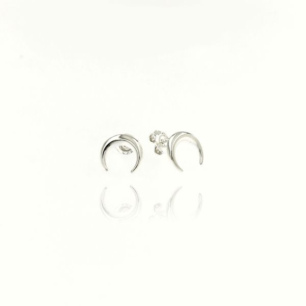 Silver Earings stones 111127
