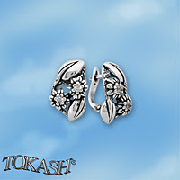 Silver Earings with stone 121074
