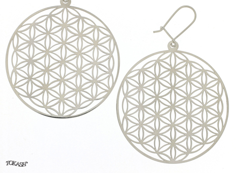 Silver Earings stones 601005