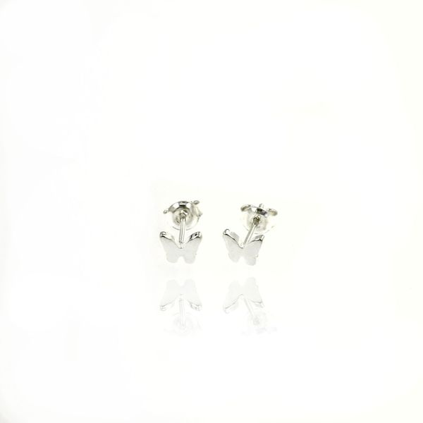 Silver Earings stones 111129
