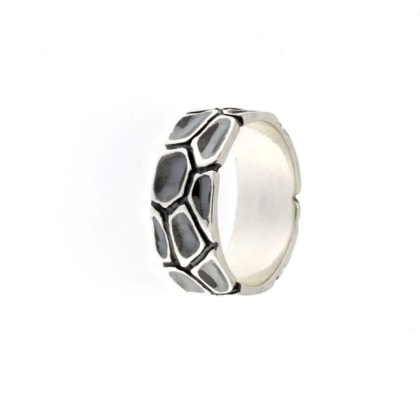 Silver ring stones 1666141
