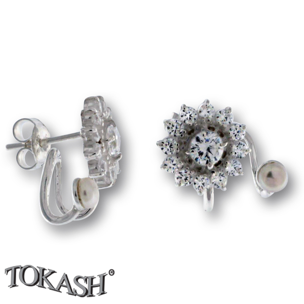 Silver Earings with stones 139176