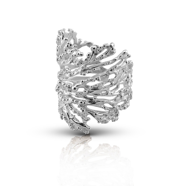 Silver ring 1536358