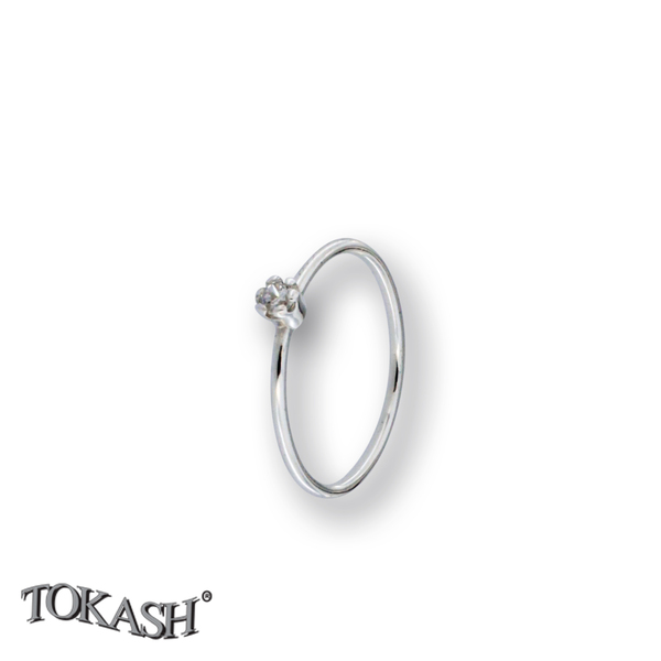 Silver ring stones 1696192