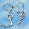 Silver Earings stones 111516