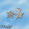 Silver earrings with CZ - Silver Earings with stones - 139514