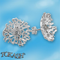 Silver Earings with stone 121024