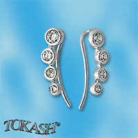 Silver Earings with stones 139274